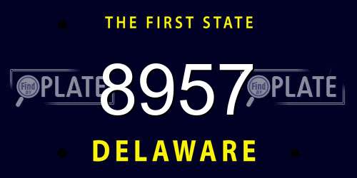 8957 Delaware License Plate