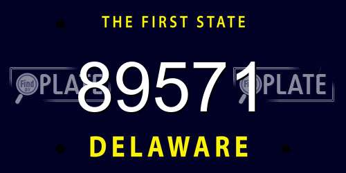 89571 Delaware License Plate