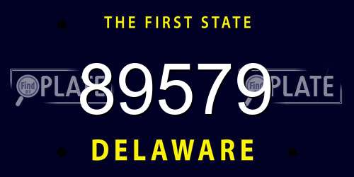 89579 Delaware License Plate