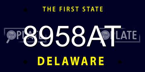 8958AT Delaware License Plate
