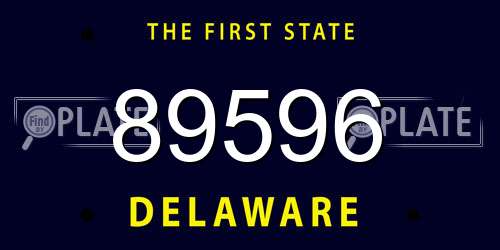 89596 Delaware License Plate