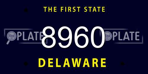 8960 Delaware License Plate