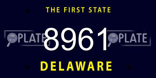 8961 Delaware License Plate