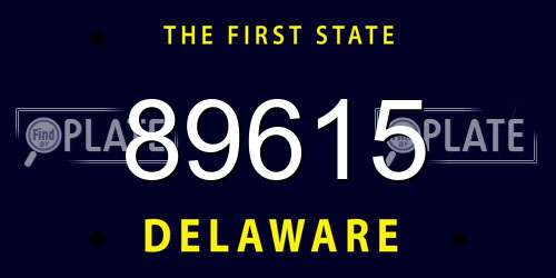 89615 Delaware License Plate