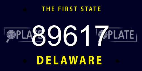 89617 Delaware License Plate