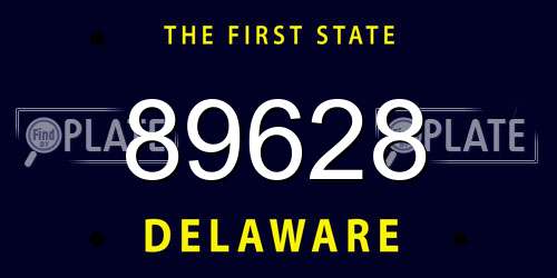 89628 Delaware License Plate