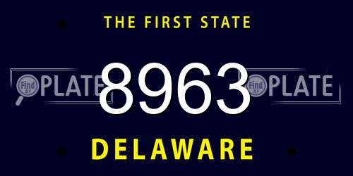 8963 Delaware License Plate