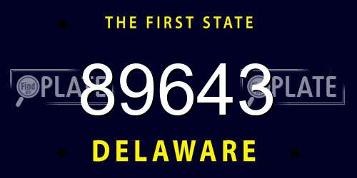 89643 Delaware License Plate