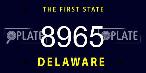 8965 Delaware License Plate