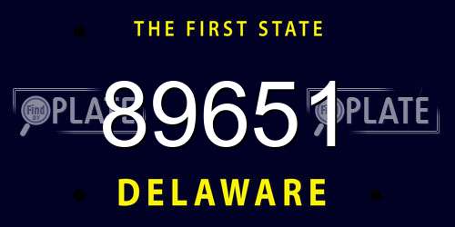 89651 Delaware License Plate
