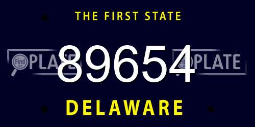 89654 Delaware License Plate