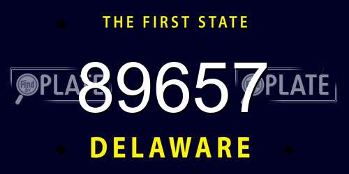 89657 Delaware License Plate