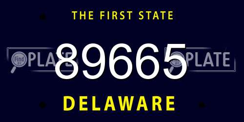 89665 Delaware License Plate