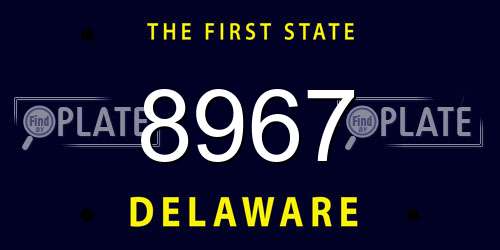 8967 Delaware License Plate