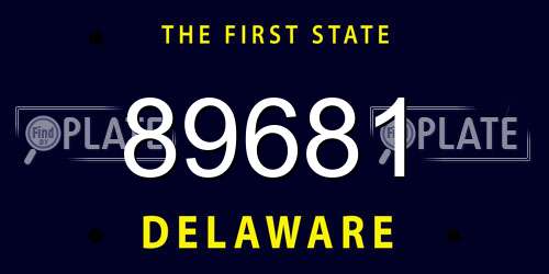 89681 Delaware License Plate