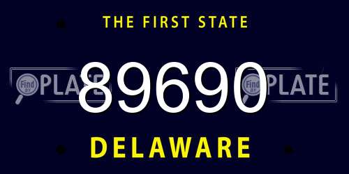 89690 Delaware License Plate