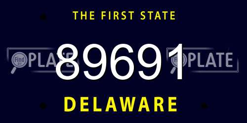 89691 Delaware License Plate