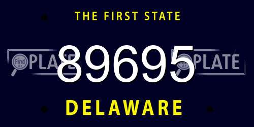 89695 Delaware License Plate
