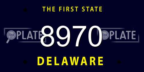 8970 Delaware License Plate
