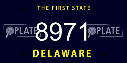 8971 Delaware License Plate