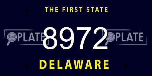 8972 Delaware License Plate