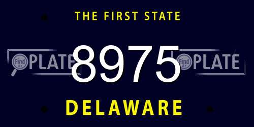 8975 Delaware License Plate