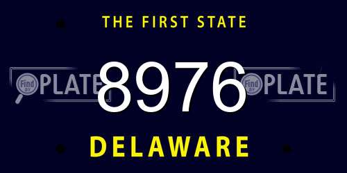 8976 Delaware License Plate
