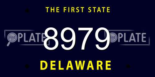 8979 Delaware License Plate