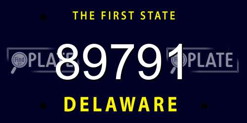 89791 Delaware License Plate