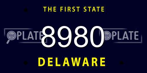 8980 Delaware License Plate