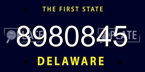 8980845 Delaware License Plate