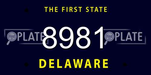 8981 Delaware License Plate