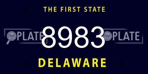 8983 Delaware License Plate