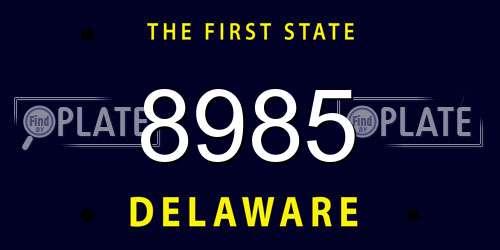 8985 Delaware License Plate