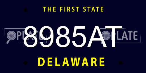 8985AT Delaware License Plate