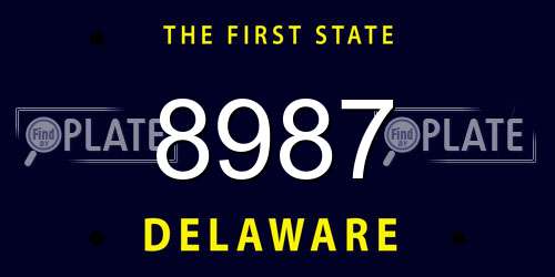 8987 Delaware License Plate