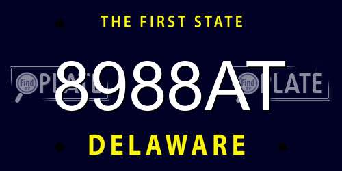 8988AT Delaware License Plate