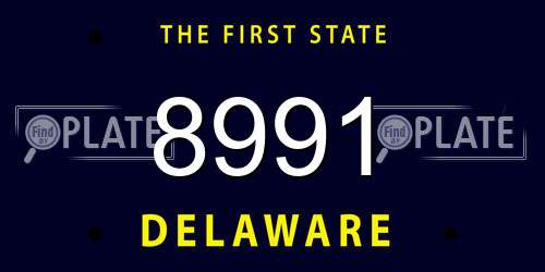 8991 Delaware License Plate