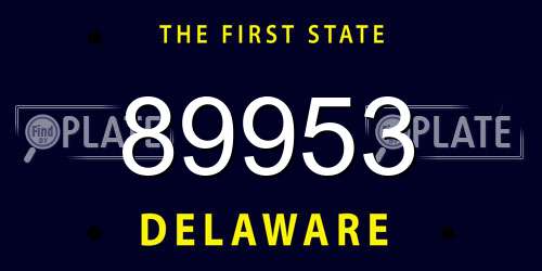 89953 Delaware License Plate