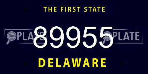 89955 Delaware License Plate