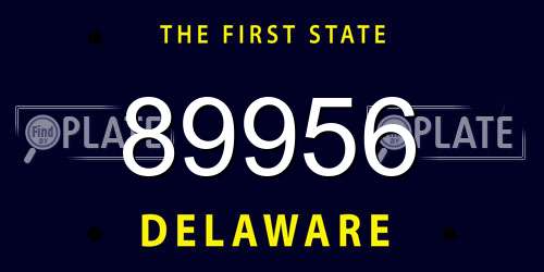 89956 Delaware License Plate