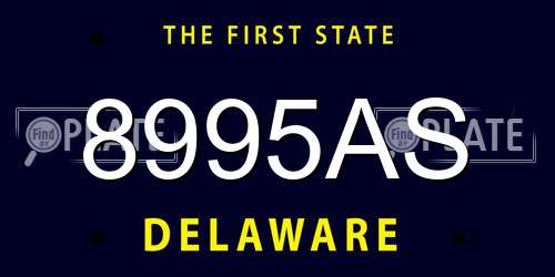 8995AS Delaware License Plate