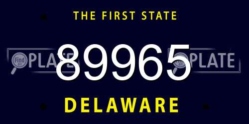 89965 Delaware License Plate