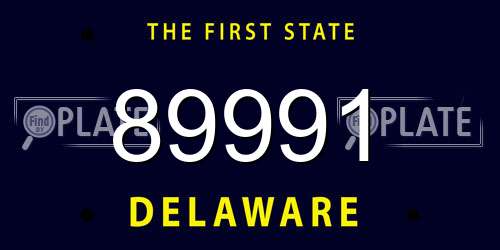 89991 Delaware License Plate