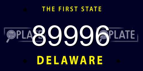 89996 Delaware License Plate