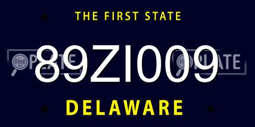 89ZI009 Delaware License Plate