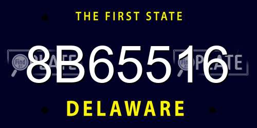 8B65516 Delaware License Plate