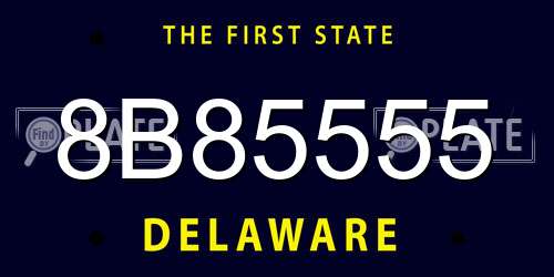 8B85555 Delaware License Plate