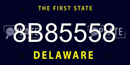 8B85558 Delaware License Plate