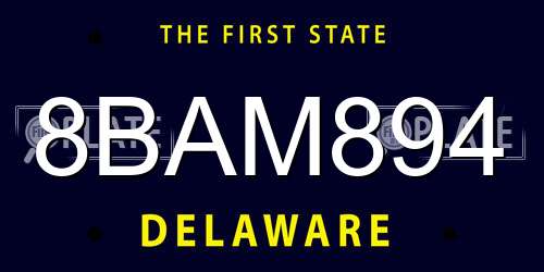 8BAM894 Delaware License Plate